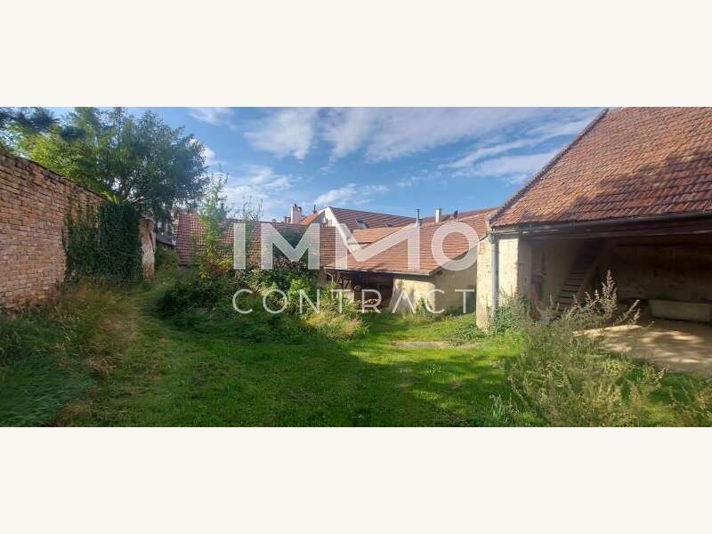 Einfamilienhaus in Langenlois - Bild 6 Einfamilienhaus in Langenlois - Bild 6