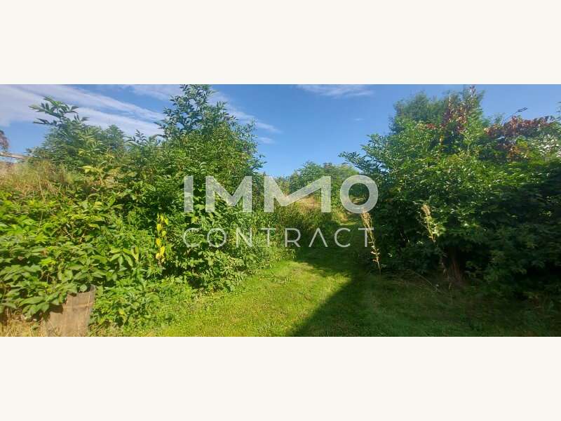 Einfamilienhaus in Langenlois - Bild 10 Einfamilienhaus in Langenlois - Bild 10