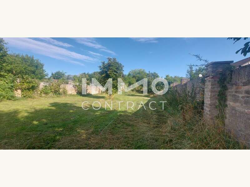 Einfamilienhaus in Langenlois - Bild 11 Einfamilienhaus in Langenlois - Bild 11