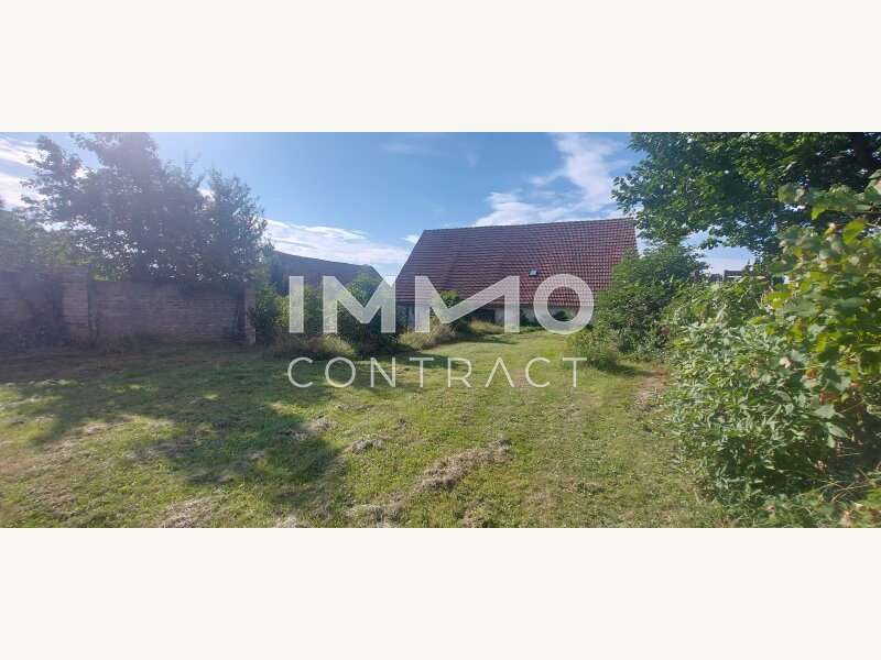 Einfamilienhaus in Langenlois - Bild 12 Einfamilienhaus in Langenlois - Bild 12