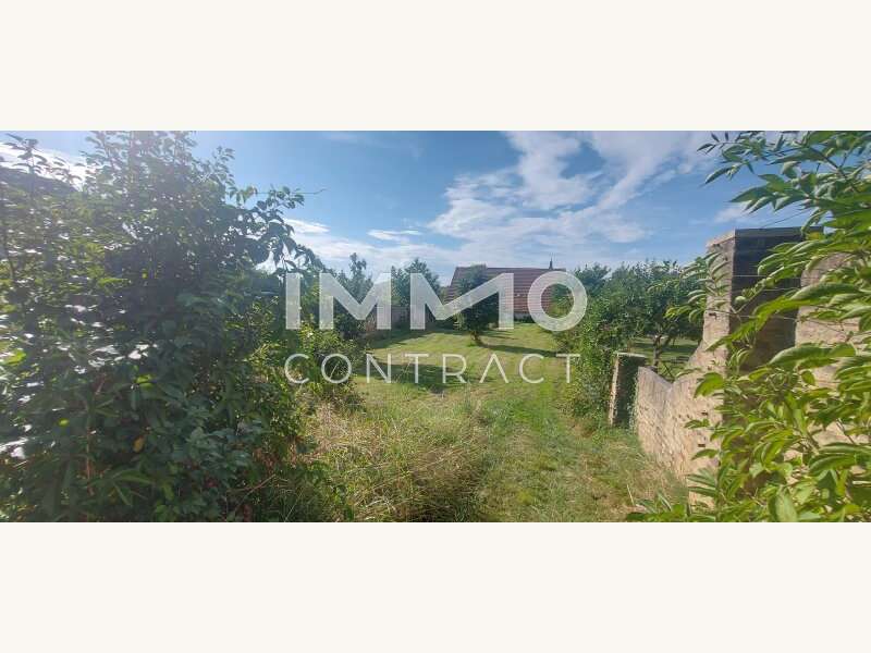 Einfamilienhaus in Langenlois - Bild 13 Einfamilienhaus in Langenlois - Bild 13