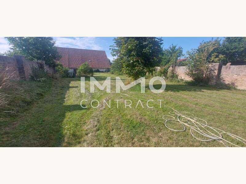 Einfamilienhaus in Langenlois - Bild 15 Einfamilienhaus in Langenlois - Bild 15