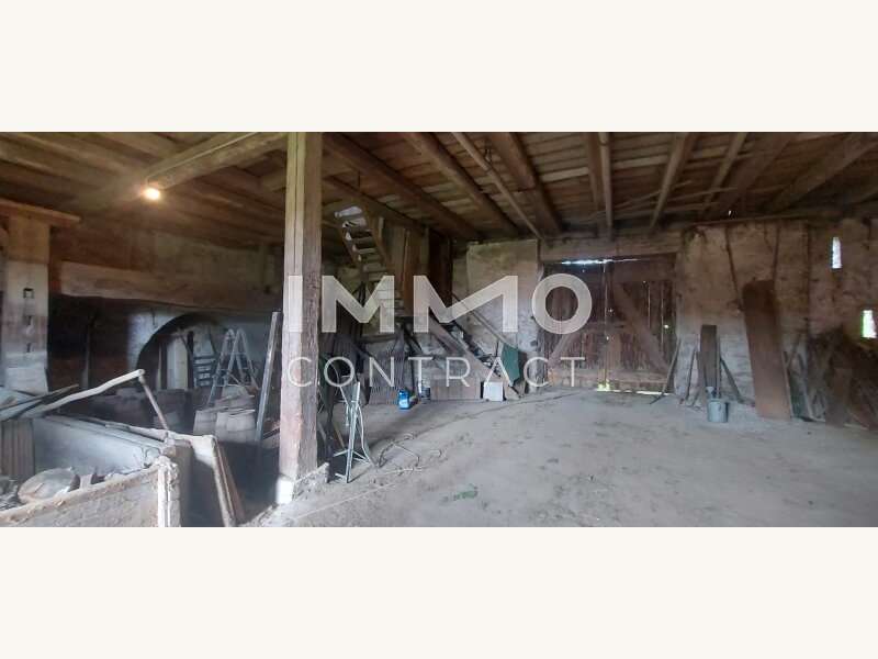 Einfamilienhaus in Langenlois - Bild 25 Einfamilienhaus in Langenlois - Bild 25