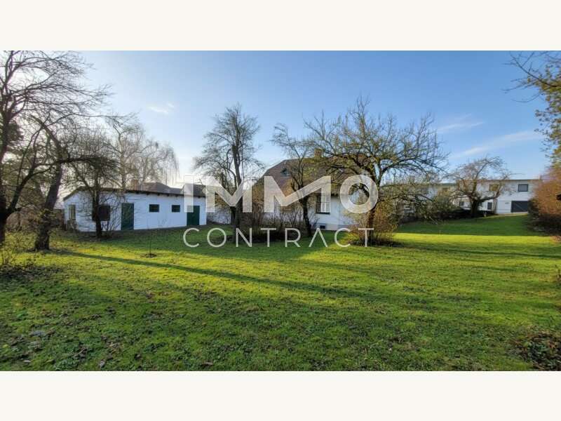 Einfamilienhaus in Mattersburg - Bild 5