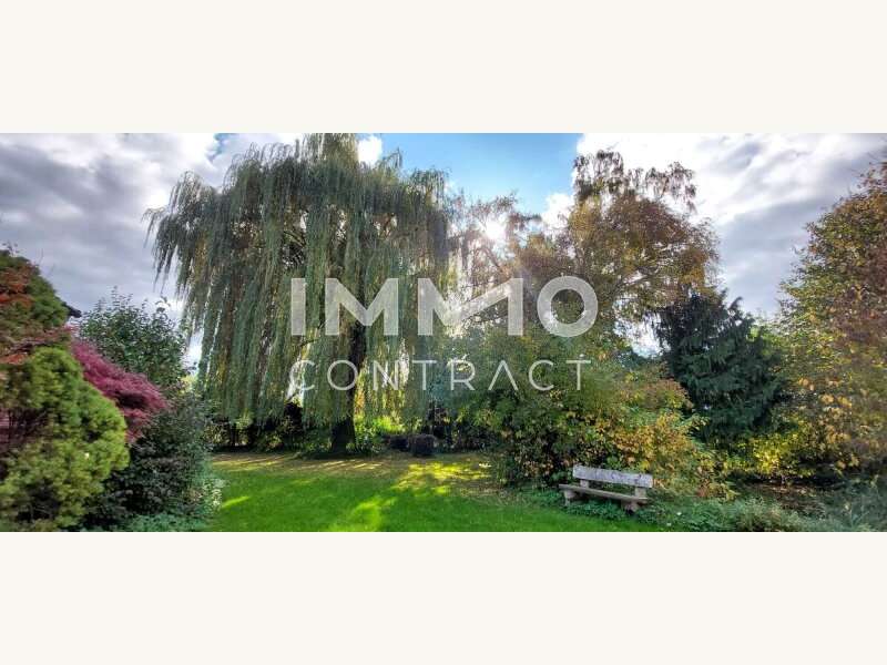 Einfamilienhaus in Alkoven - Bild 12 Einfamilienhaus in Alkoven - Bild 12