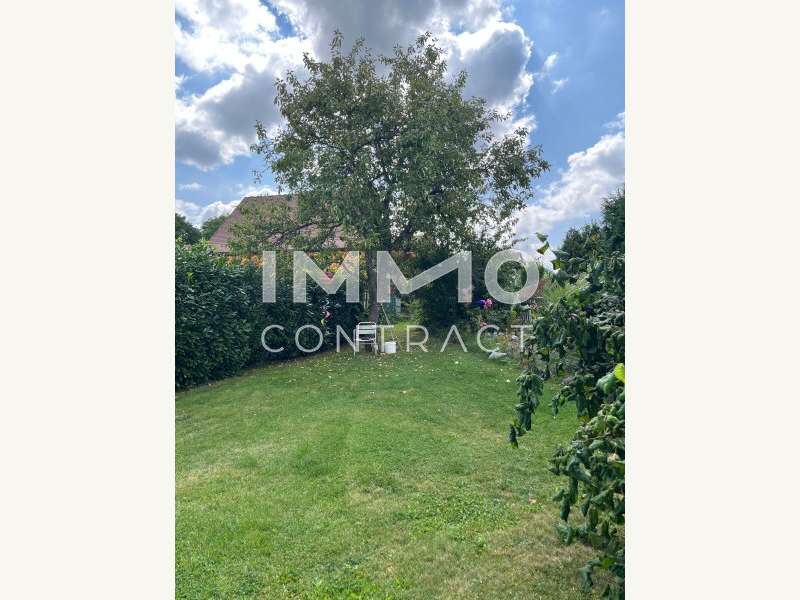 Haus Drosendorf Stadt: Garten Ansicht Süden Garten Ansicht Süden