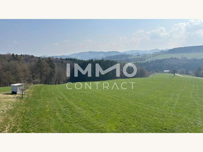 Einfamilienhaus Hofstetten: Aussicht Aussicht