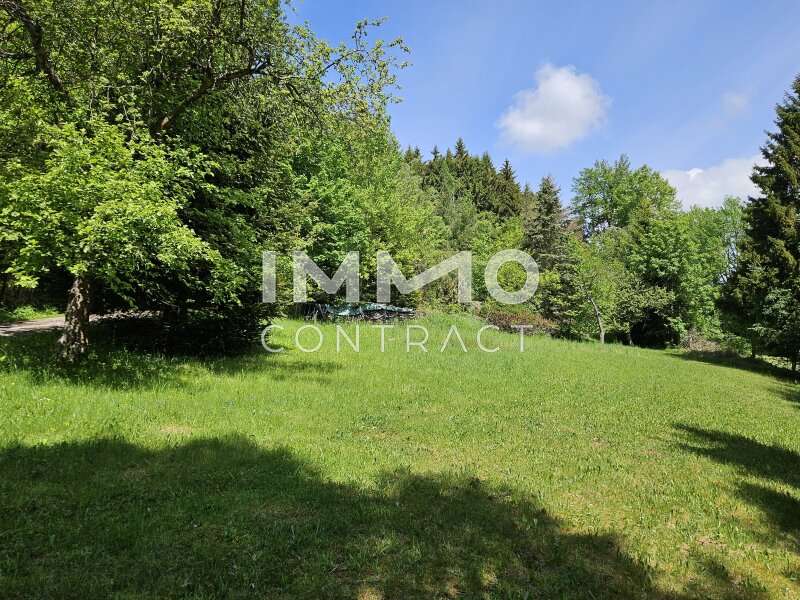 Haus Harbach: Wiese vor dem Haus Wiese vor dem Haus