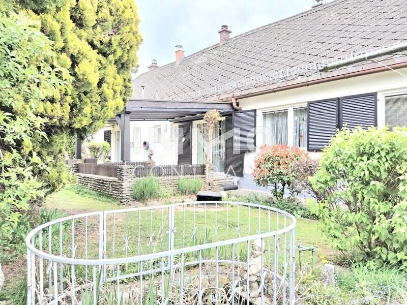 Haus Riedlingsdorf: Garten Garten