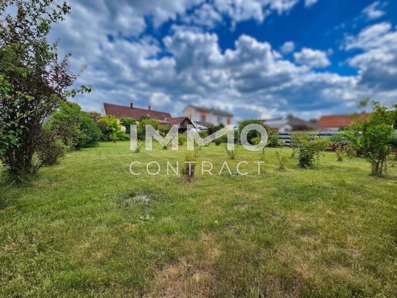 Haus Dietmanns: Garten Ansicht 3 Garten Ansicht 3