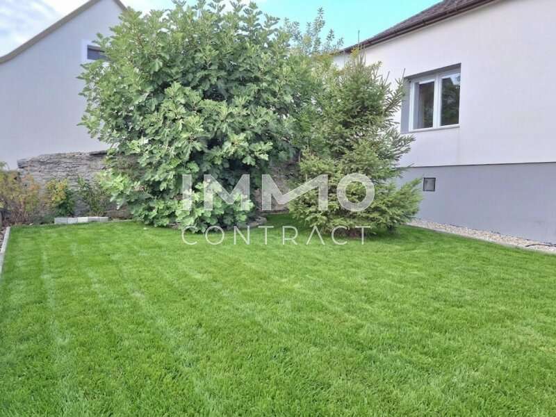 Einfamilienhaus Rechnitz: Vorgarten Vorgarten