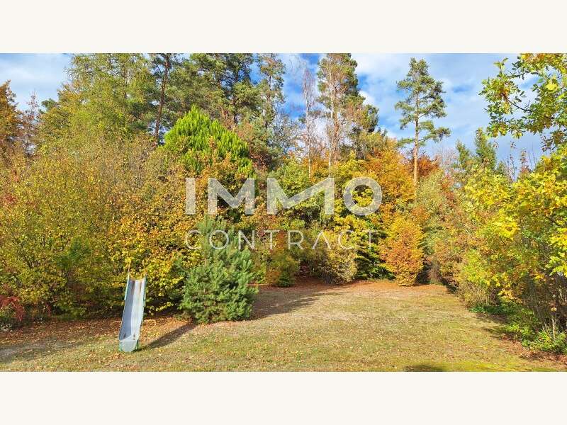 Bungalow in Mistelbach - Bild 17