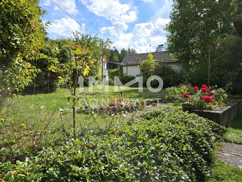 Haus Heidenreichstein: Garten Garten