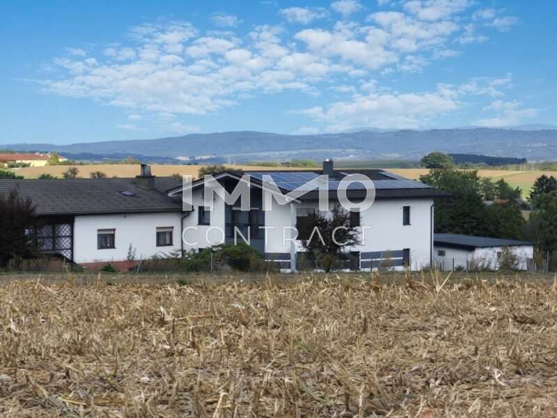Doppelhaushälfte Kilb: Ostansicht Ostansicht