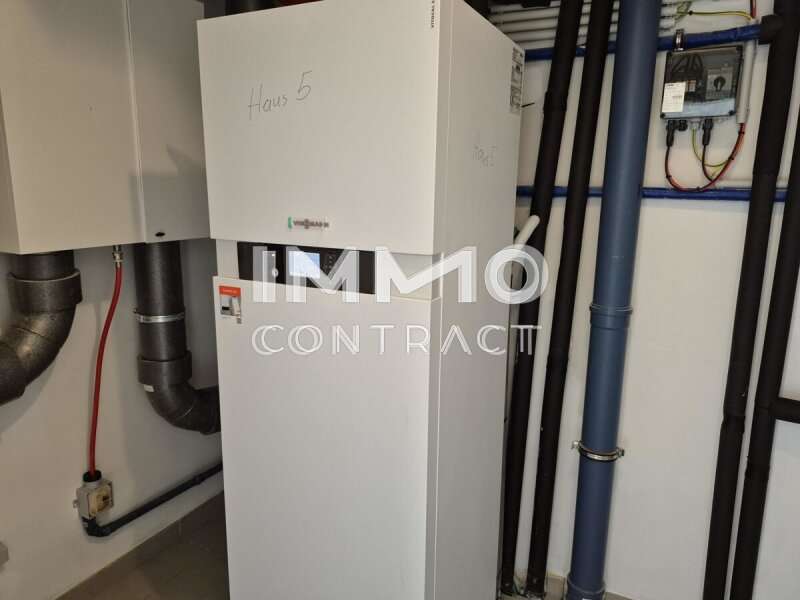 Doppelhaushälfte Haunoldstein: 20250607_092213 20250607_092213