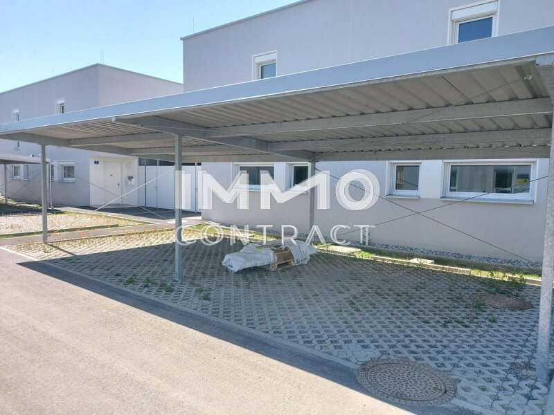 Reihenhaus Kapelln: 20250513_103415 20250513_103415