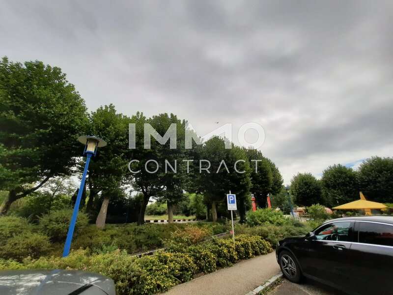 Mietwohnung Bad Schallerbach: 20230901_113103 20230901_113103