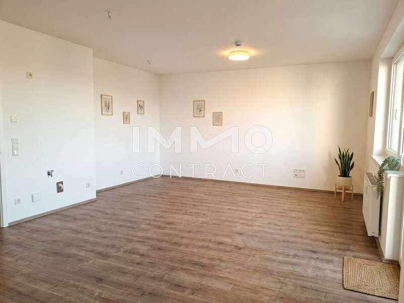 Mietwohnung Wiener Neustadt: Wohn/ Esszimmer Wohn/ Esszimmer