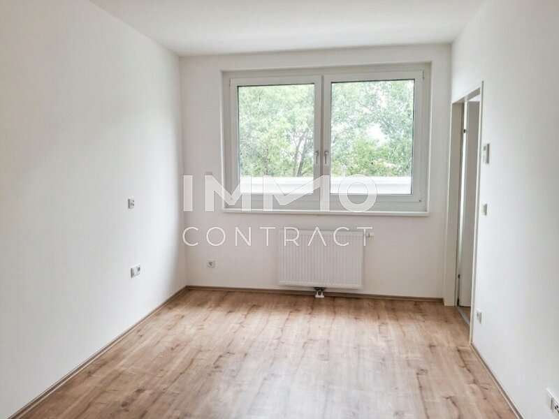 Mietwohnung Wiener Neustadt: Zimmer Zimmer