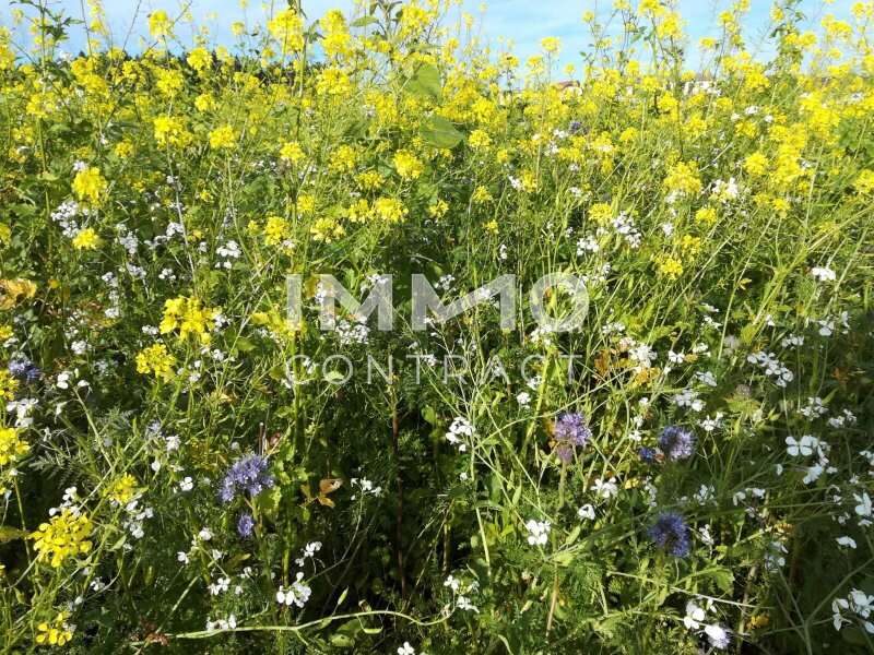 Wohnung in Linz - Bild 17