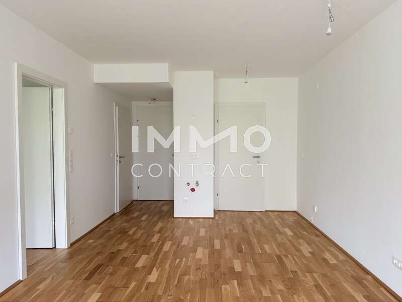 Eigentumswohnung Wien: Wohnraum Wohnraum