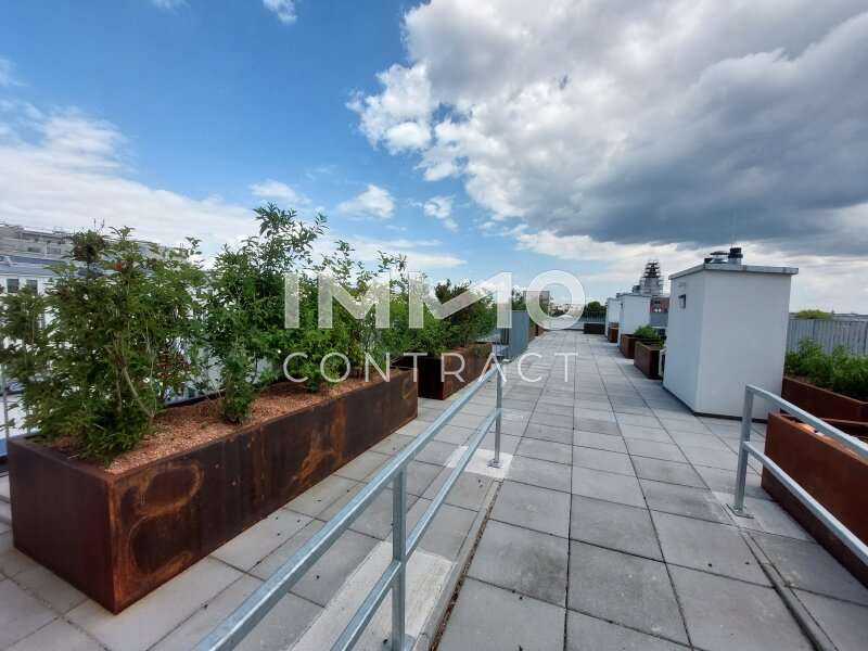 Eigentumswohnung Wien: Dachgarten Dachgarten