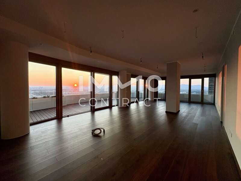 Wohn-Essbereich Richtung Kahlenberg