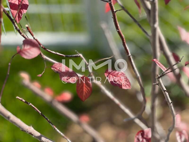 Eigentumswohnung in Krems an der Donau - Bild 3