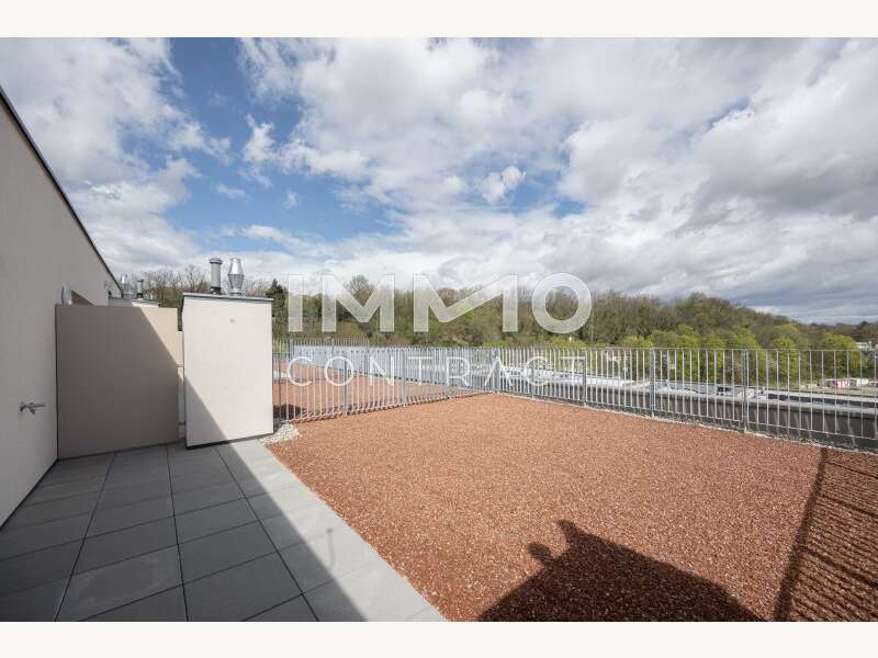 20240402-Steingötterhof Top 172-©6B47-7