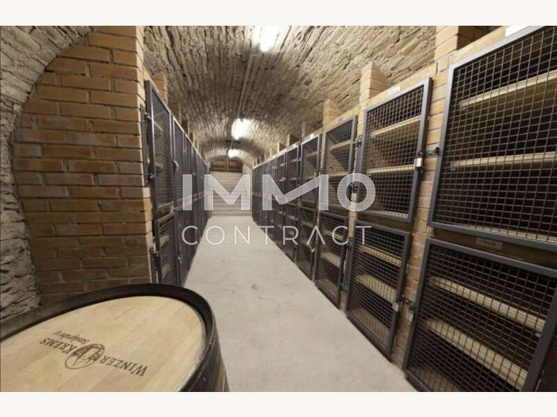 Eigentumswohnung Krems an der Donau: Weinkeller Weinkeller