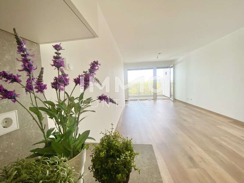 Wohnesszimmer mit Loggia