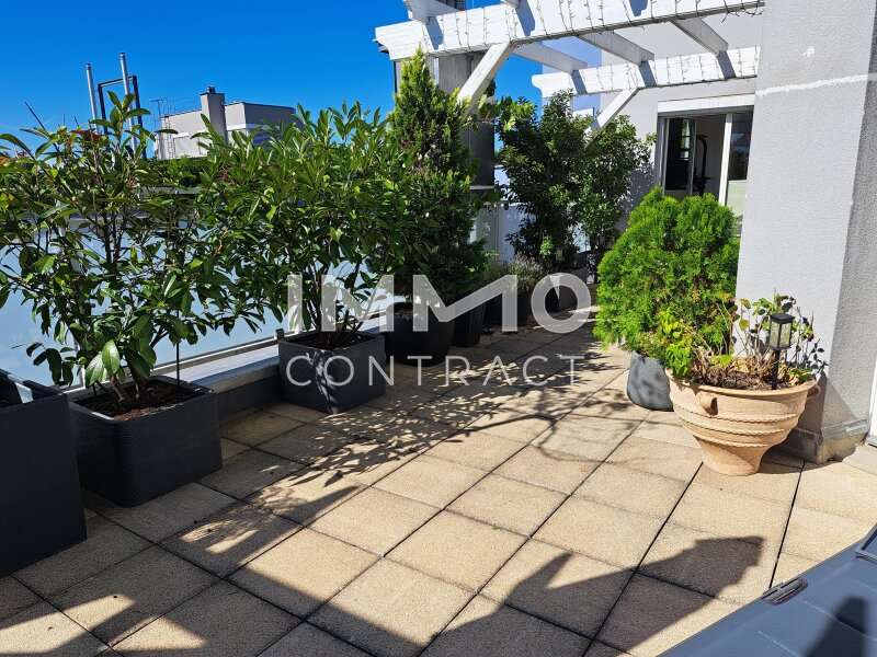 Terrasse 2