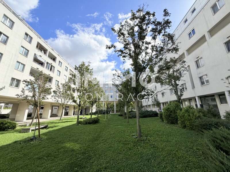 Terrassenwohnung in Wien - Bild 9