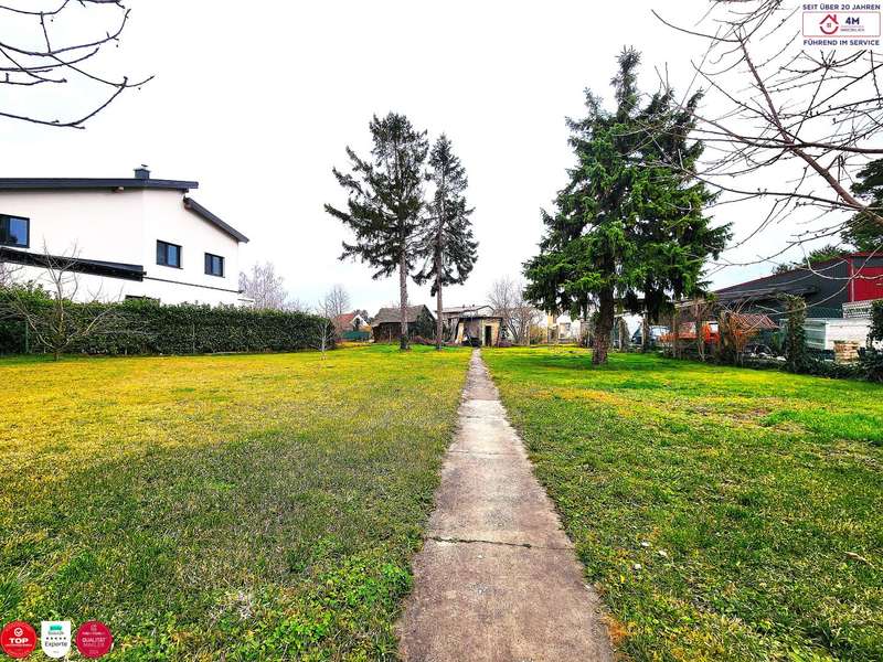 Baugrundstück in Obersiebenbrunn - Bild 2