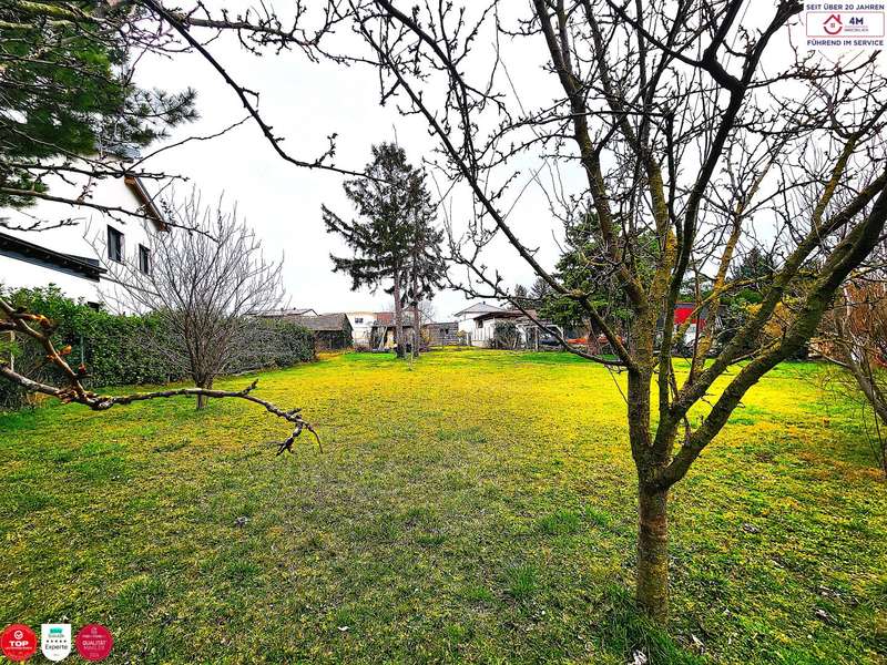 Baugrundstück in Obersiebenbrunn - Bild 3