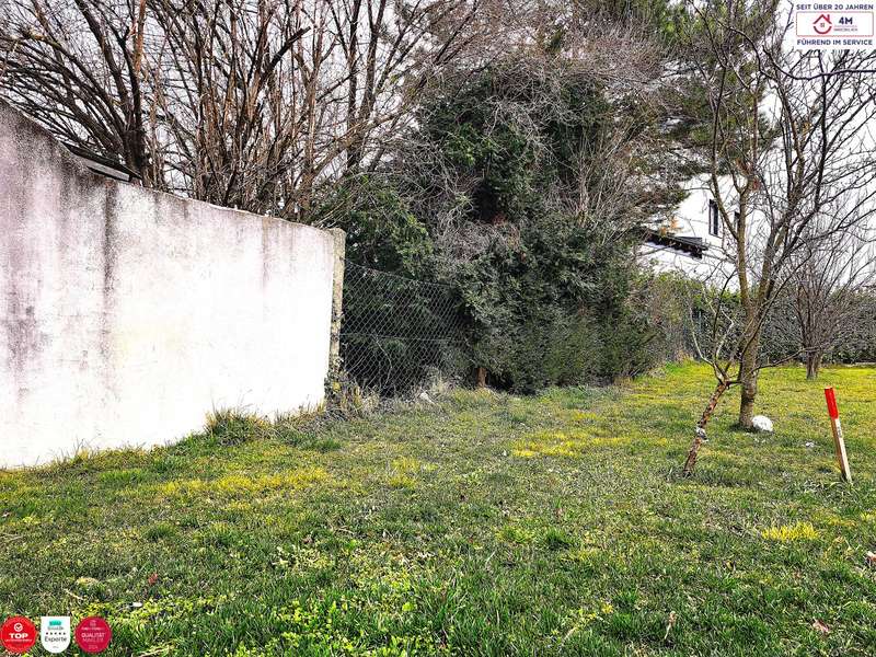 Baugrundstück in Obersiebenbrunn - Bild 4