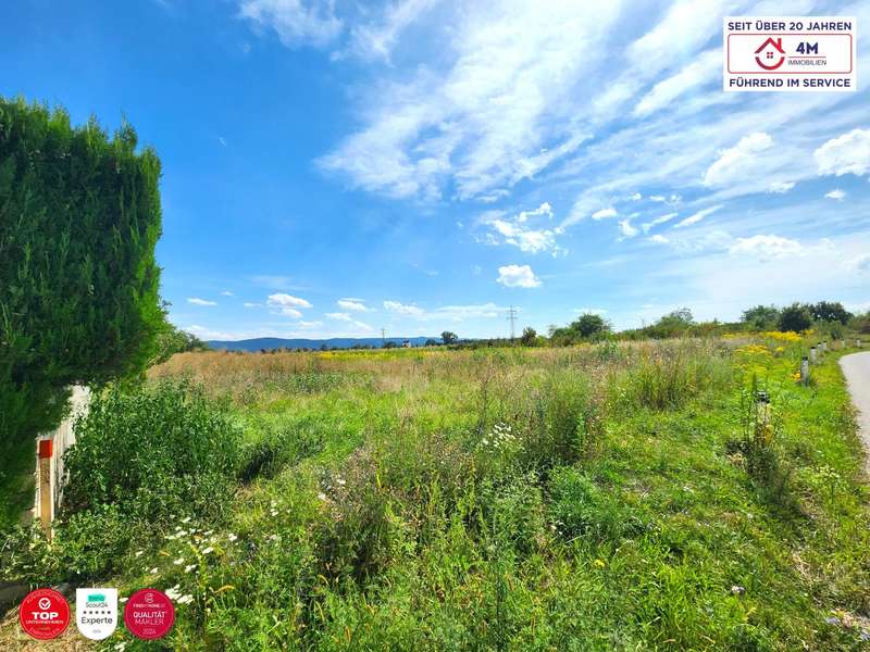 Grundstück Wiener Neustadt: schräge Seitenansicht rechts schräge Seitenansicht rechts