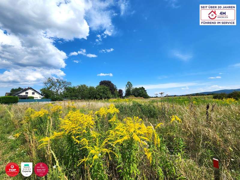 Grundstück Wiener Neustadt: schräge Seitenansicht links schräge Seitenansicht links