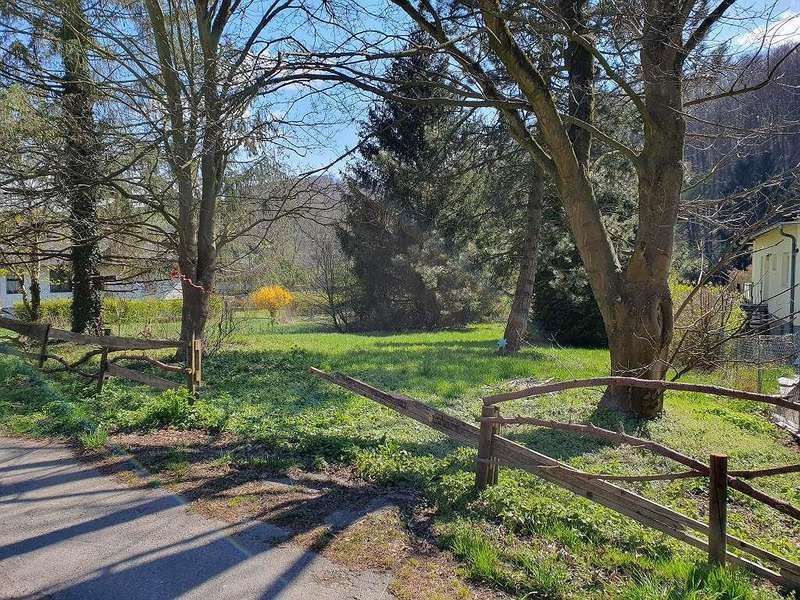 Baugrundstück Maria Gugging: 9455_1630781817 9455_1630781817