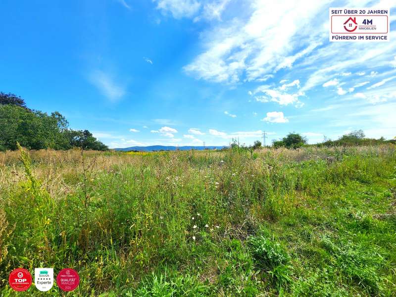 Baugrundstück Wiener Neustadt: Frontalansicht Frontalansicht