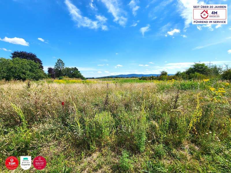 Baugrundstück Wiener Neustadt: Frontalansicht Frontalansicht