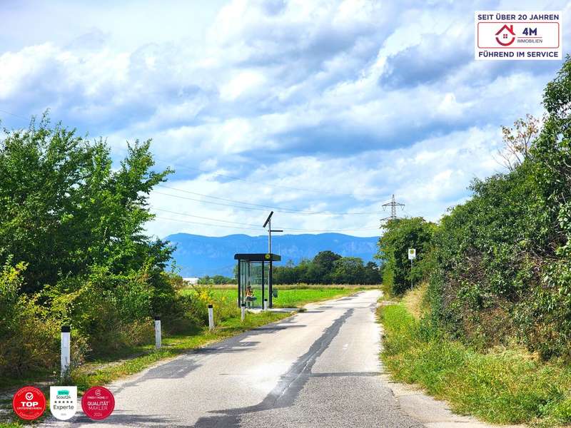 Baugrundstück Wiener Neustadt: Ausblick Richtung Berge Ausblick Richtung Berge
