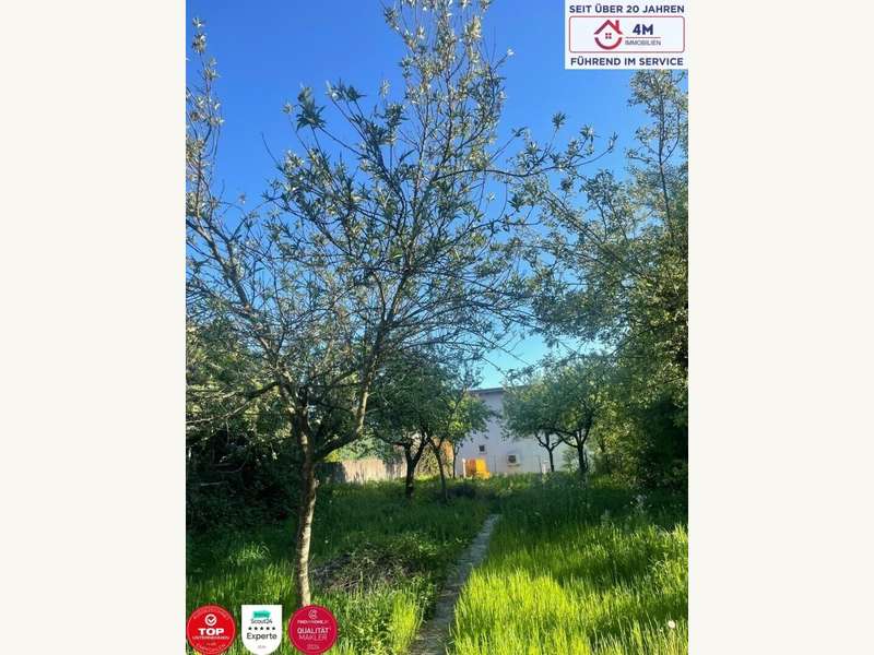 Einfamilienhaus Niederkreuzstetten: Garten Garten