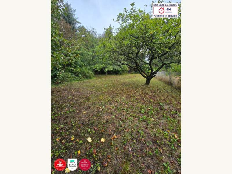 Einfamilienhaus in Kierling - Bild 4