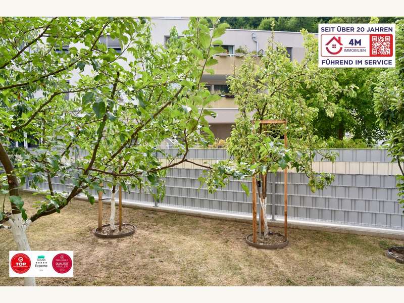 Eigentumswohnung in Purkersdorf - Bild 11