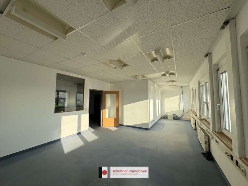 Büro in Wiener Neudorf - Bild 9