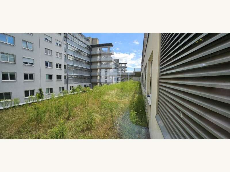 Büro in Wien - Bild 2 Büro in Wien - Bild 2