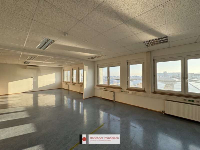 Büro in Wiener Neudorf - Bild 3