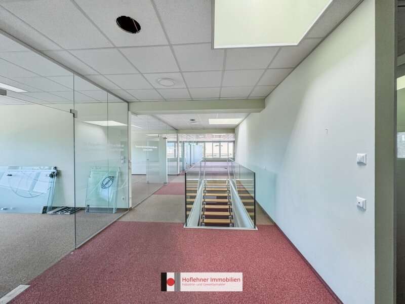 Büro in Wien - Bild 5