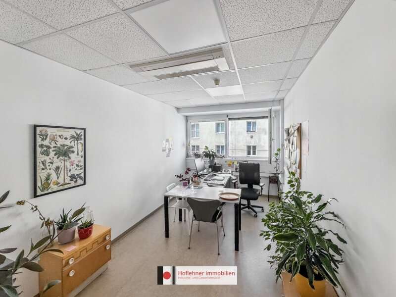Büro in Wien - Bild 6